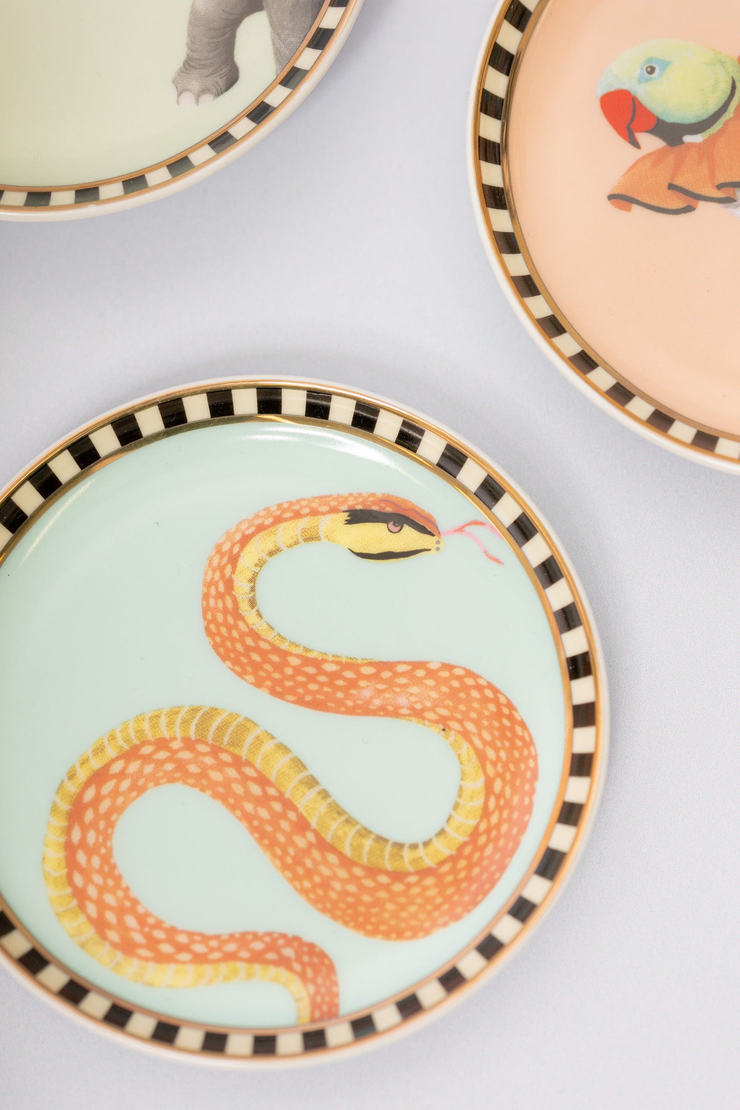 Yvonne Ellen Animal Coasters (Set of 4)