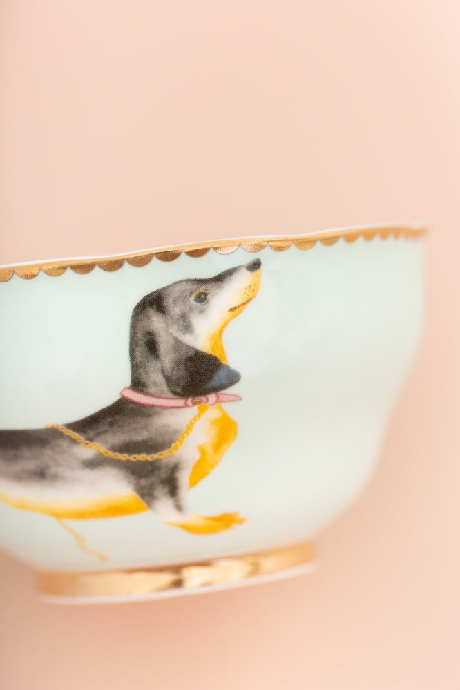 Yvonne Ellen Doggie Bowl
