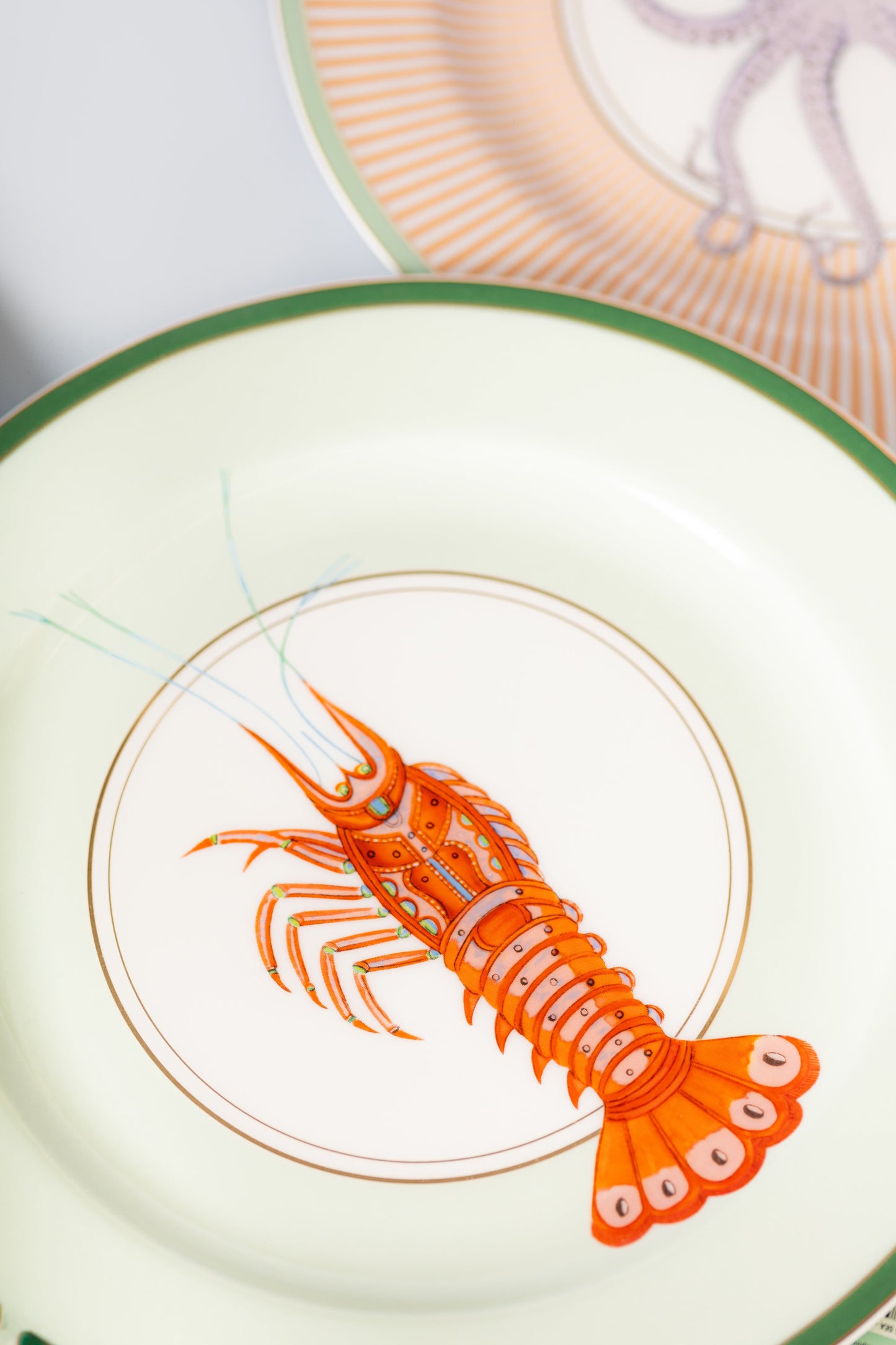 Yvonne Ellen Under The Sea Dinner Plates 26.5cm (Set of 4)