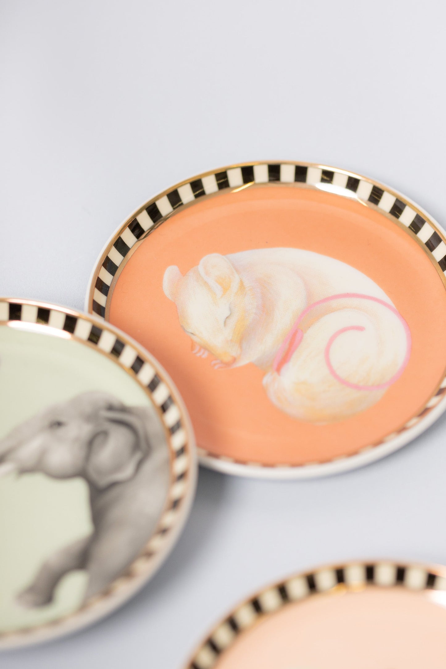 Yvonne Ellen Animal Coasters (Set of 4)