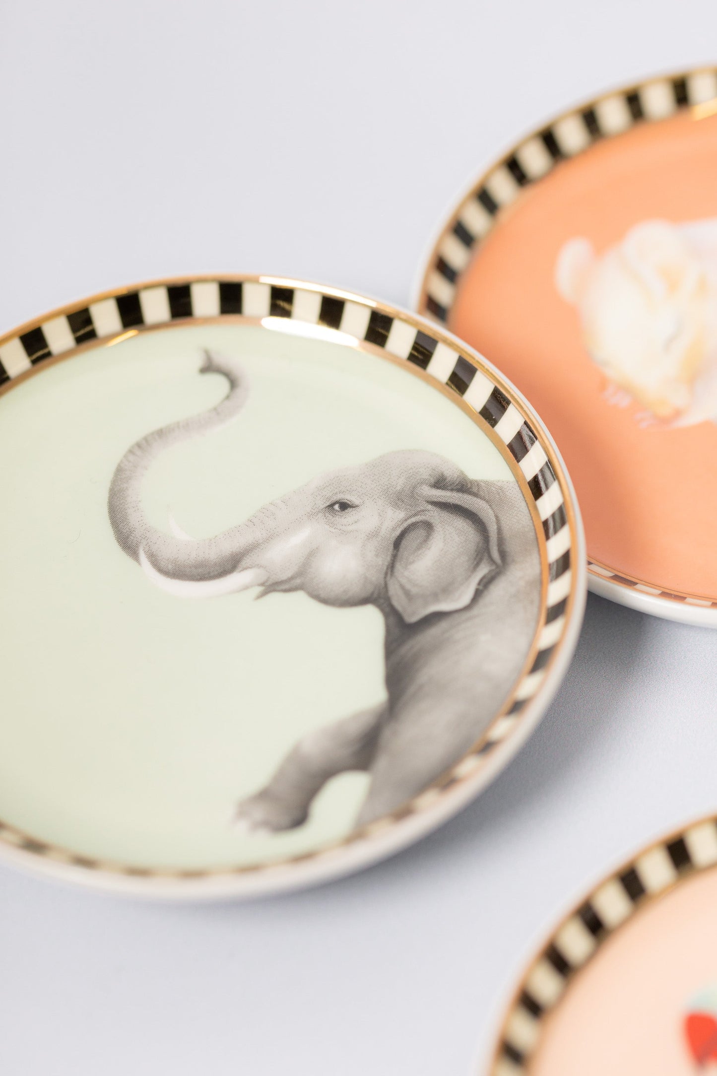 Yvonne Ellen Animal Coasters (Set of 4)