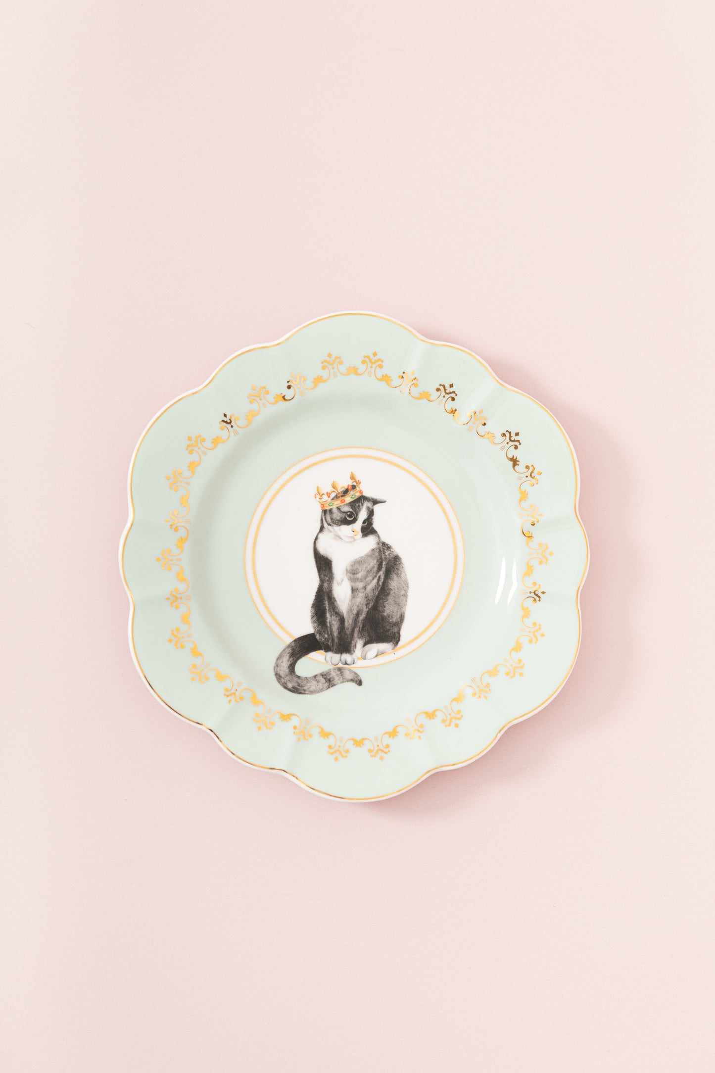 Cat Lover's Bundle