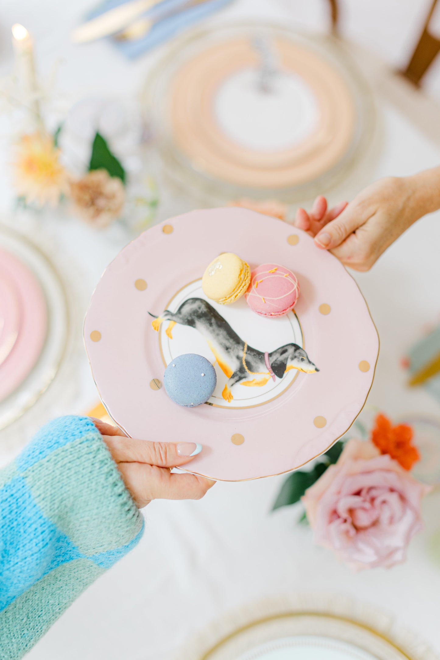 Yvonne Ellen Doggie Sandwich Plate 23cm