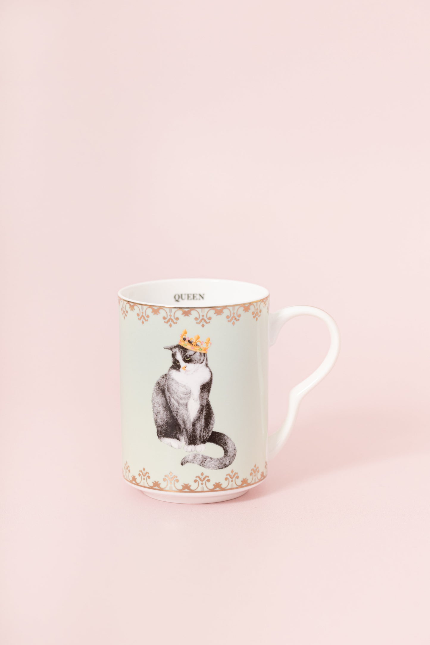 Cat Lover's Bundle